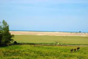 House With 5 Bedrooms in Regnéville-sur-mer, With Wonderful sea View, Enclosed Garden and Wifi - 6 km From the Beach - Image 4