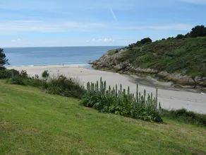Holiday Home Anse De Rospico - Image 3