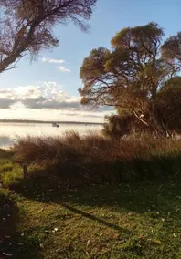 Estuary Road - Image 2