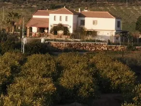 VILLA EL COINO Cozy Inns - Image 2