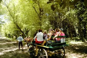 Estancia la Alameda - Image 5