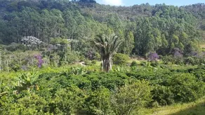 Sitio Zocatelli - Image 3