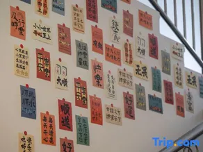 DragonCat Hotel - Image 3