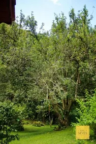 Pousada Naturalmente - Image 2