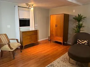 Private & Luxurious Apartment - Image 4