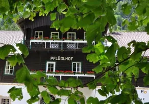Ferienwohnungen PflÜglhof - Image 5