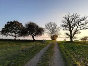 5 star holiday home in Vordingborg - Image 3