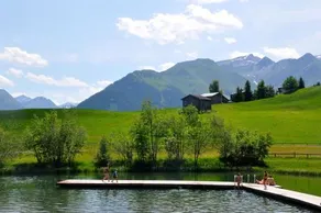 Panoramic Ecodesign Apartment Obersaxen - Val Lumnezia I Vella - Vignogn I near Laax Flims I 5 Swiss - Image 5