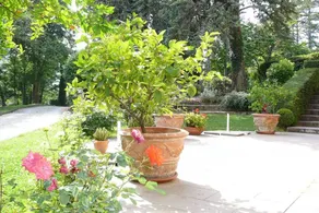 Charming 1-bed Apartment in Castell'arquato - Image 4