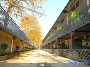 Mugen Town Residence - Image 5