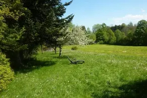 Ferienwohnungen Elbrächter - Image 4