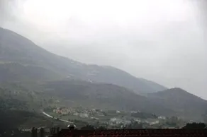 Stis Kyra - Vasilikis - Image 5