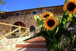 Heritage Holiday Home in Suvereto With Swimming Pool - Image 1