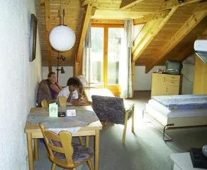 Pfeiffermühle - Image 3