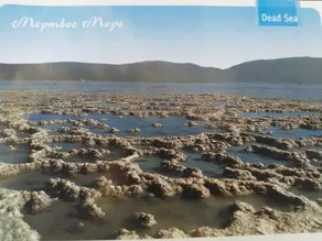 Carmit's Dead Sea Place - Image 5