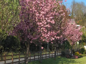 Cherrybrook B&B - Image 1