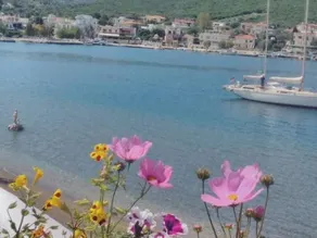 MELI-IOS - Image 2