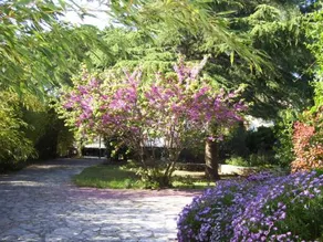 Le Paradis De Valerie - Image 3