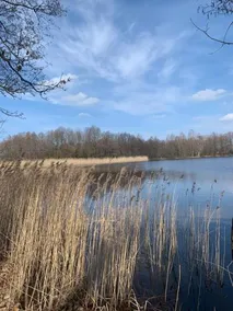 Nasze Zacisze Osiedle Kaszubska Ostoja - Image 4