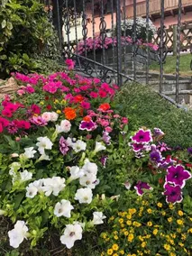 Villa Tisot - Image 2
