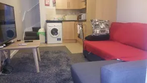 Lower Cathedral Road Apartment - Image 5