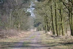 Auberge De Moerse Hoeve - Image 4