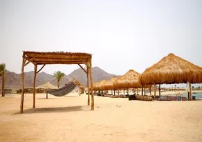 Safari Beach Resort - Image 2