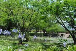 Wellvale Resort - Image 3