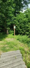 Moorbad Gmoes - Image 5