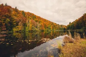 Hasenberg - Image 5