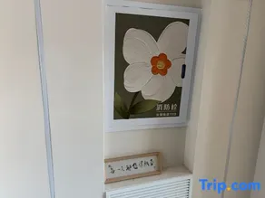 Jinghe Elegant Residence - Image 5