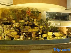 Wacci Hotel - Image 4