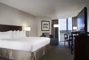 Hilton Houston NASA Clear Lake - Image 5