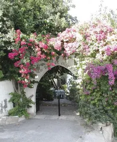 The Bunch Of Grapes Inn - Image 4