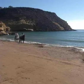 Cortijo Mariposa. Independent two bedroomed holiday home - Image 2