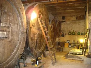 Finca Raims - Image 5