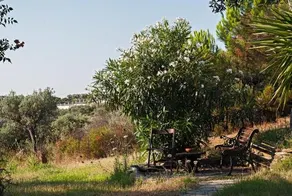 Kortiri Studios - Image 2