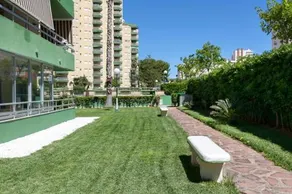Olimpia playa gandia - Image 3