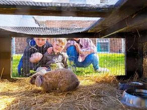 10 Personen Ferienhaus auf einem Ferienpark Blåvand - Image 2