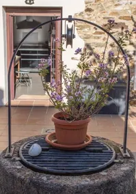 Luz Del Tajo - Image 4