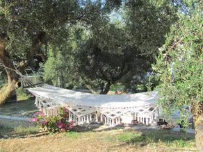 VILLA FORESTATA - Image 5