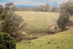The views!Lovely apartment on acreage with magnificent views - Image 4