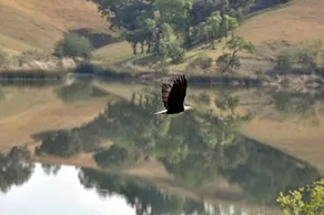 Alisal Guest Ranch And Resort - Image 4