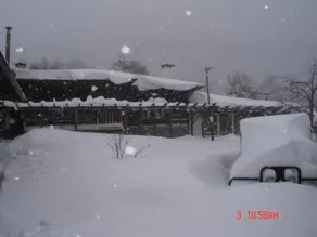 The House With The Vine Guest House - Image 5