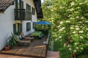 Apartments Zakrasnik - Image 3