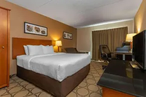 Comfort Inn Pickering - Image 3