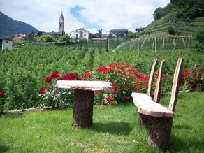 Garni Winklerhof - Image 2