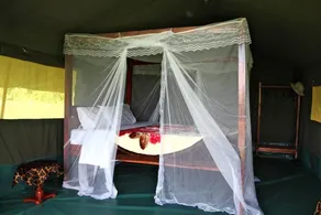 Fisi Camp - Image 2