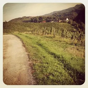 Holiday Home Winzerhaus Eva - Image 3