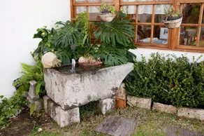 Alojamientos El Tejado - Image 3